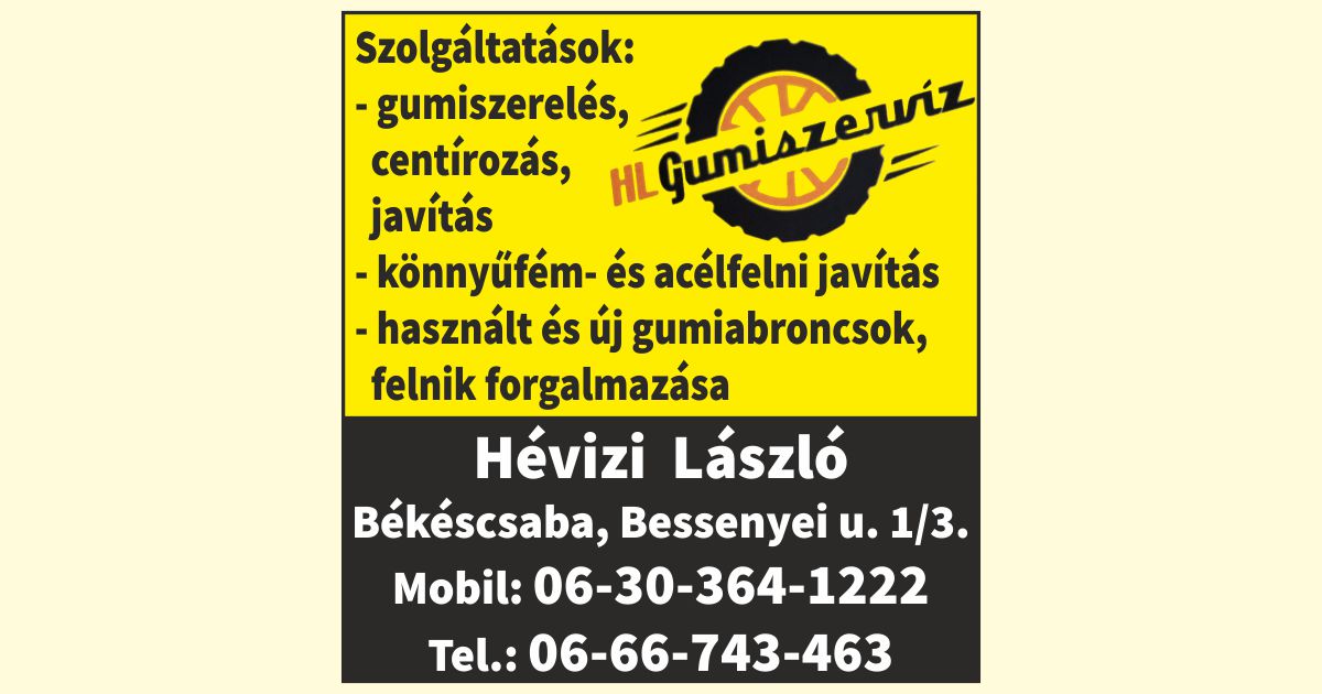 HL Gumiszerviz Hévizi László