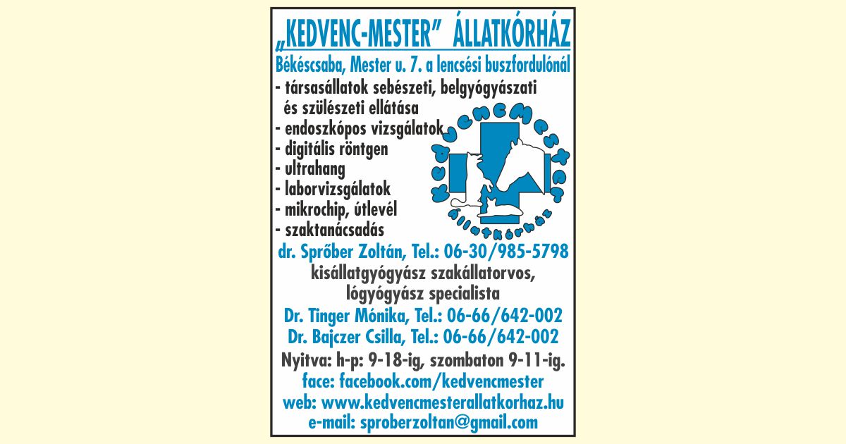 Kedvenc-Mester Állatkórház