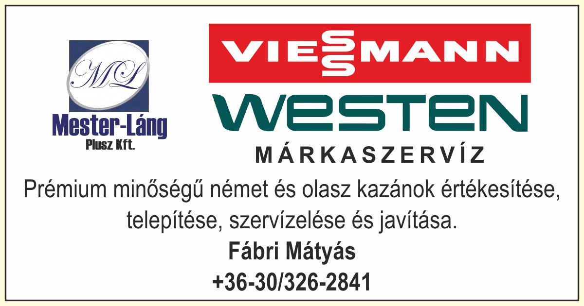 Mester-Láng Plusz Kft. Fábri Mátyás