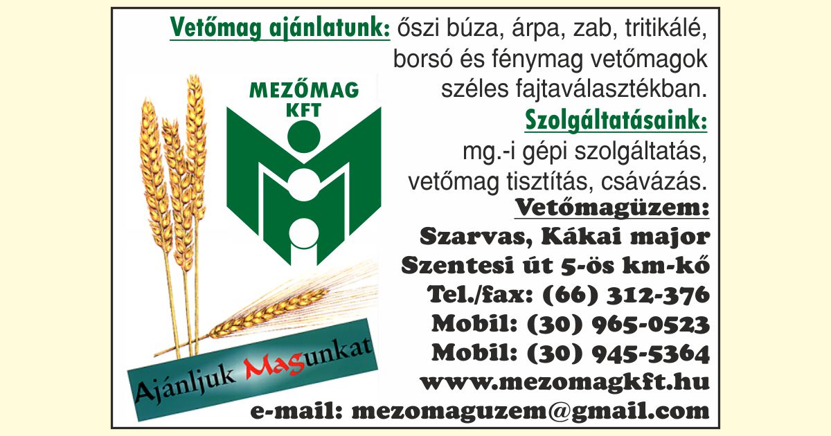 Mezőmag Kft. Szarvas