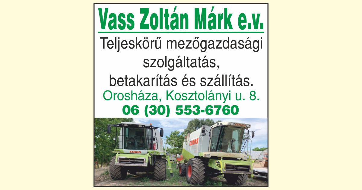 Vass Zoltán Márk - Orosháza